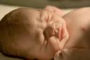 Benjamin Newborn Portrait