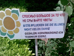 Please don't pick the flowers much... thanks!